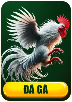 đá gà nk88